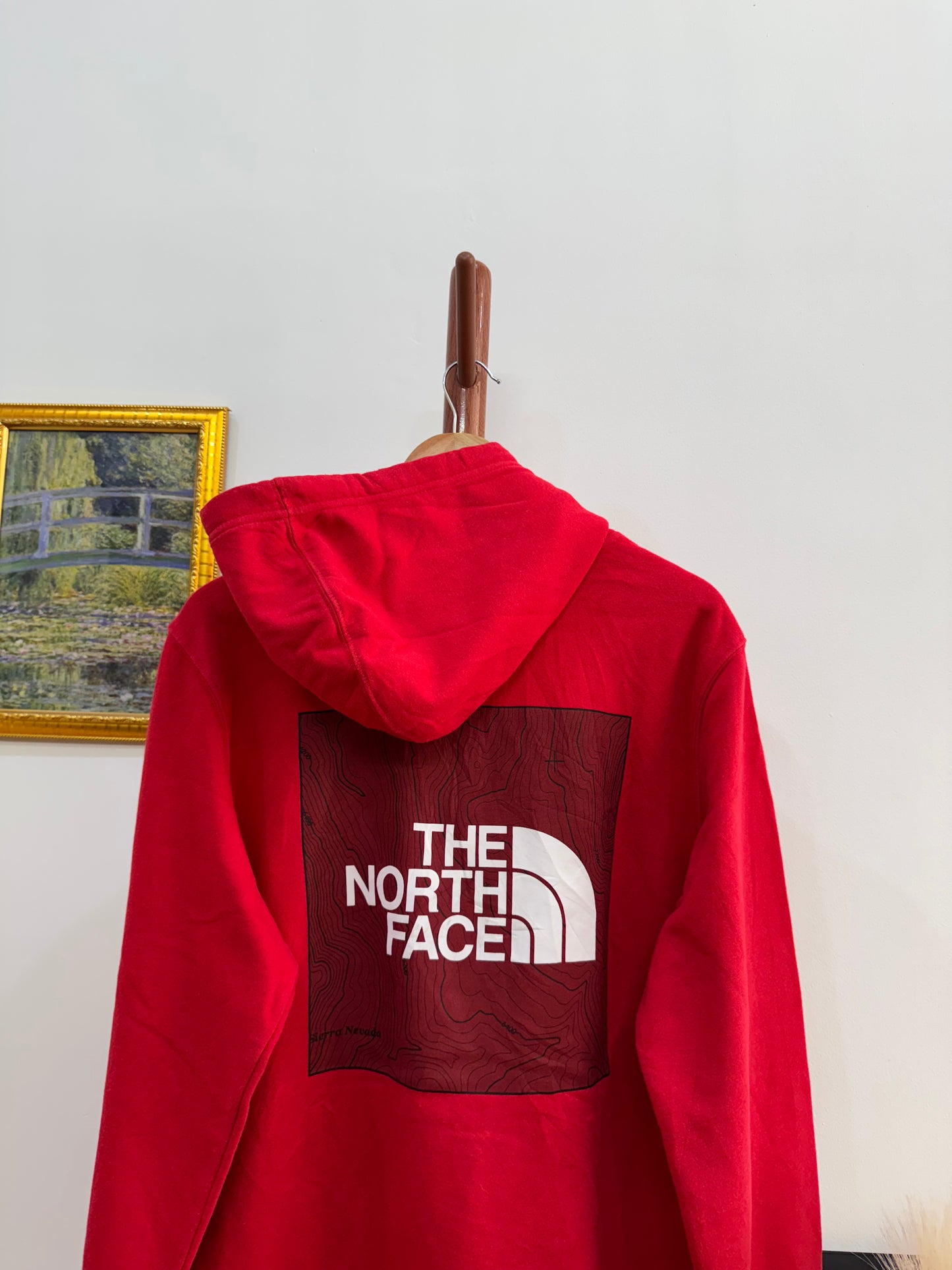 Red ‘THENORTHFACE’ Hoodie