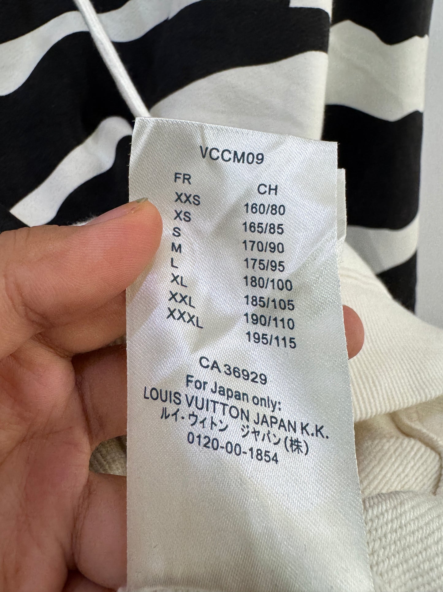 Maison Louis vuitton hoodie