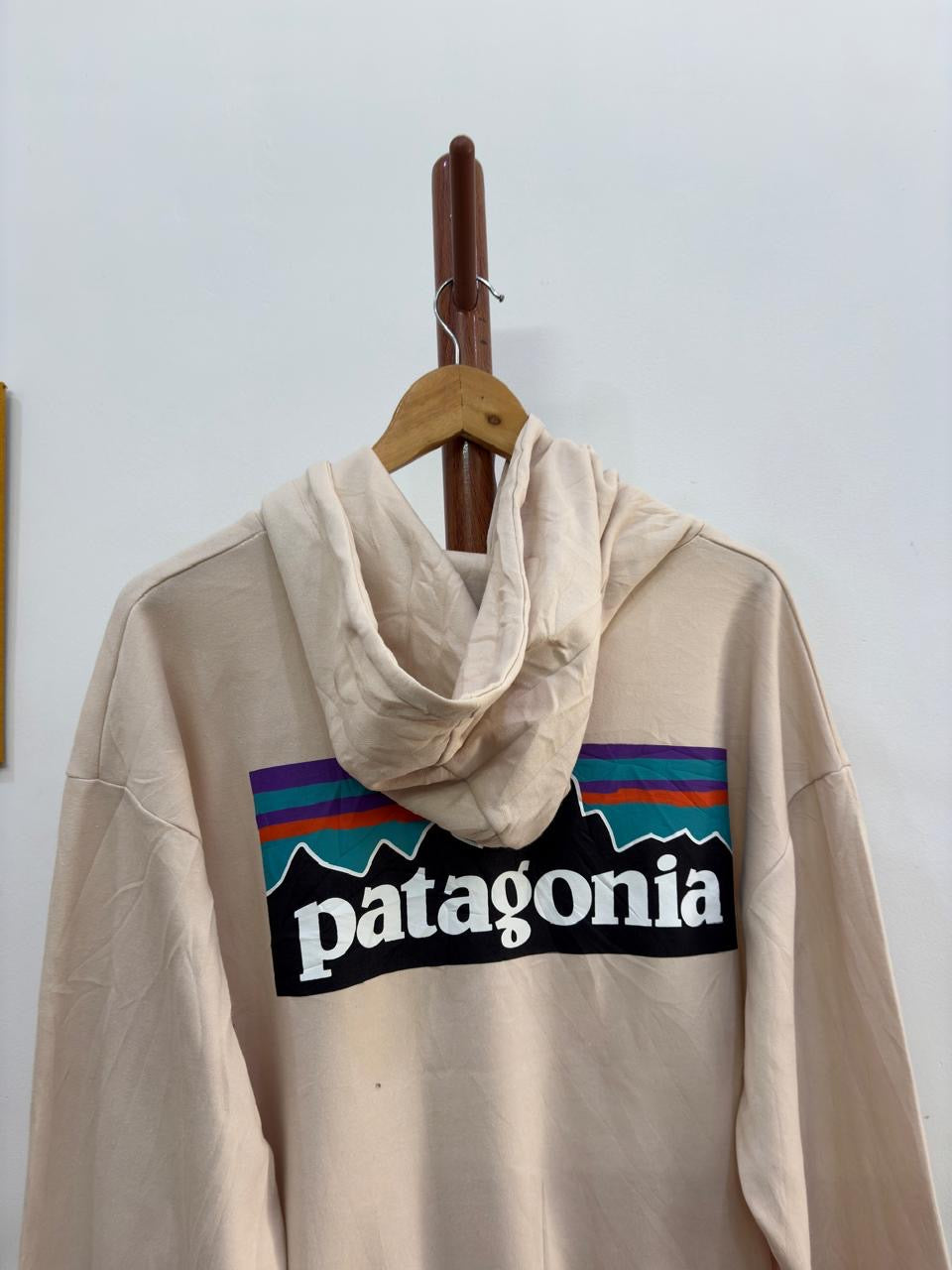 Beige PATAGONIA Hoodie